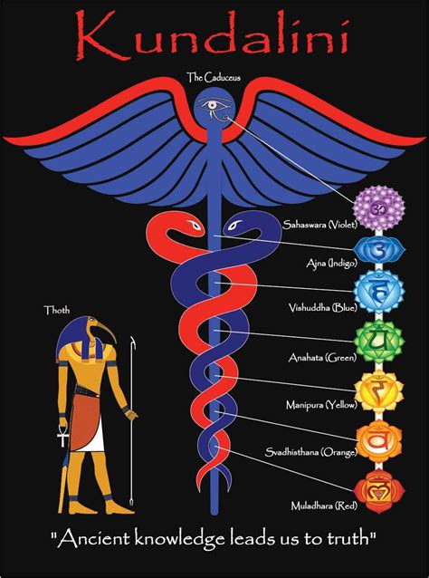 caduceus of hermes and chakras|caduceus chakra meaning.